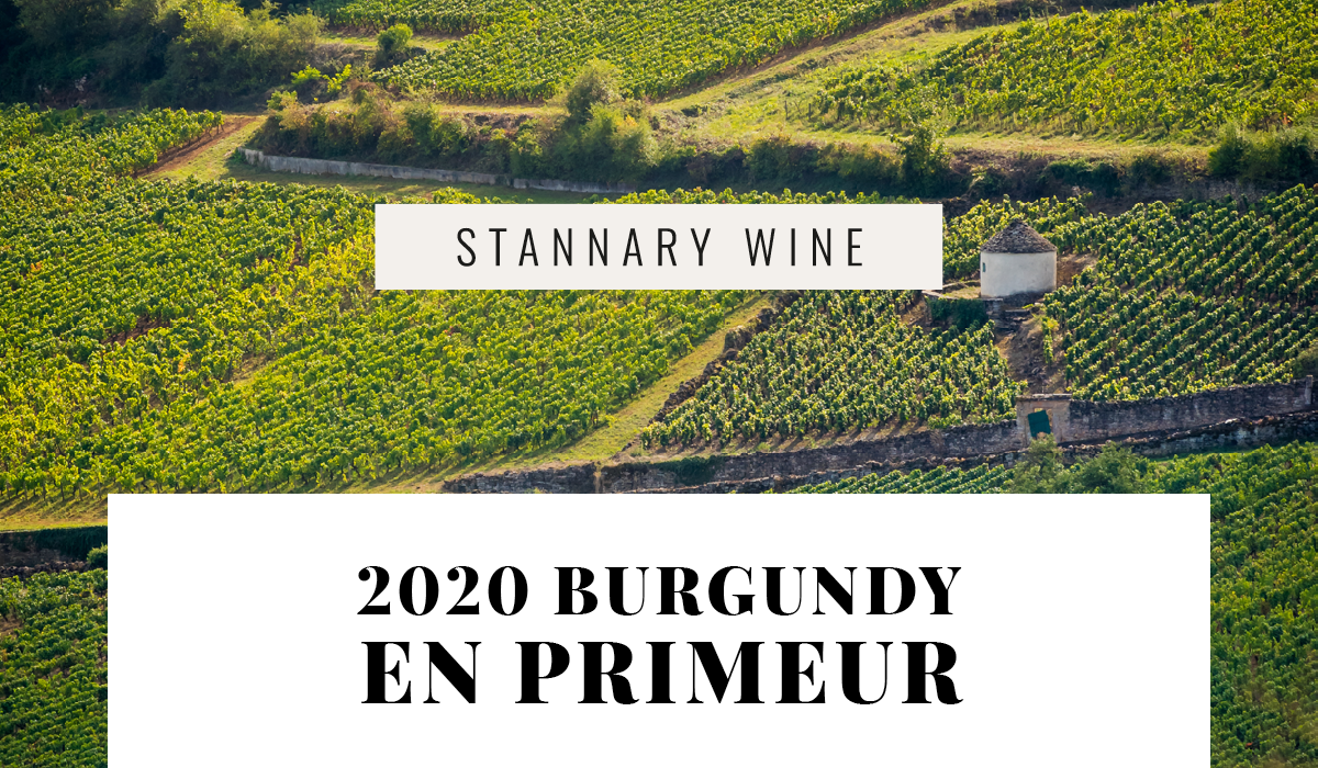 An Introduction to the 2020 Vintage with Stannary Wine and Jasper ...