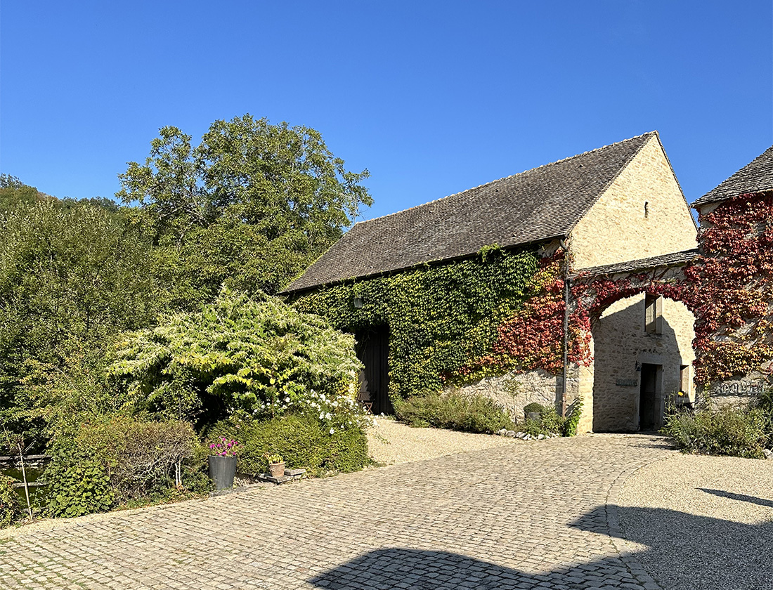 The wizards of Meursault 2: Domaine Arnaud Ente - Jasper Morris