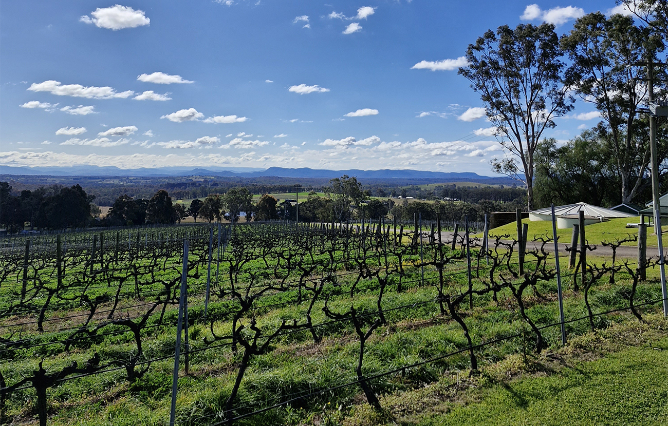 Hunter Valley – Blind Chardonnay Tasting by Tom Kline