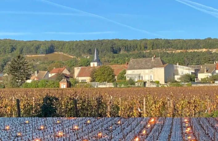 2021 in Burgundy: An Introduction to the 2021 Vintage