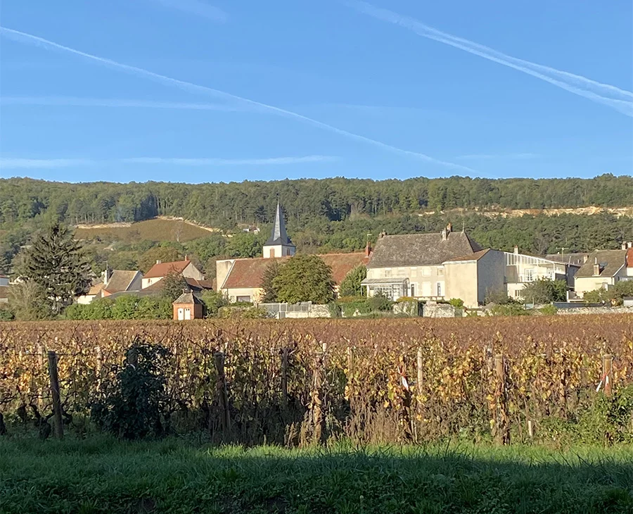 Chassagne in October