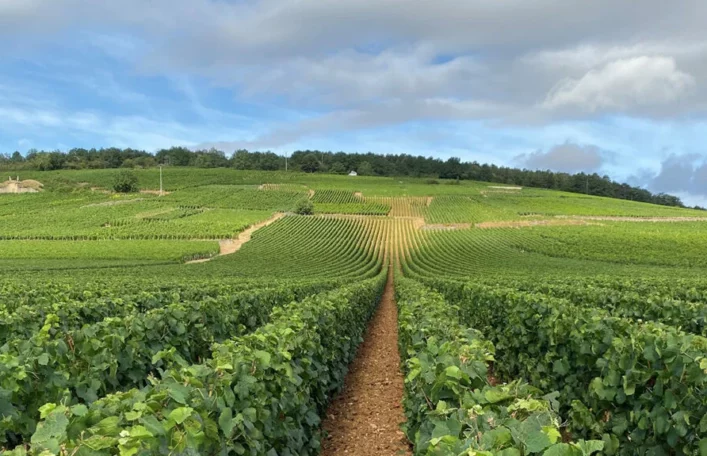 Richebourg - Domaine de la Romanée-Conti