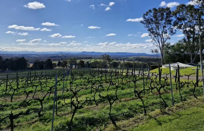 Looking out over the valley from Scarborough Wine Co