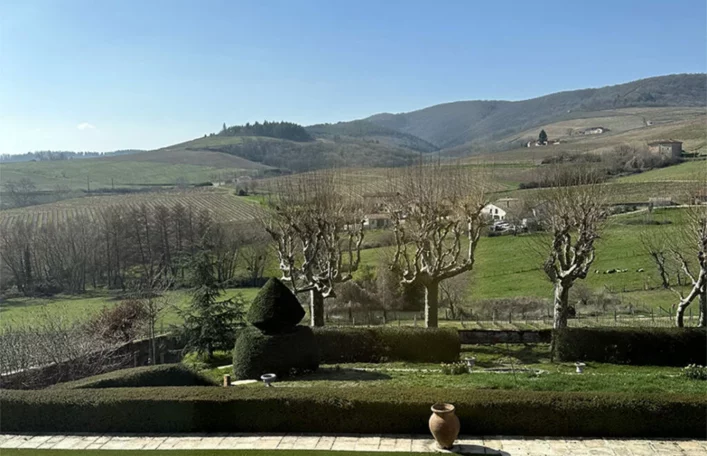 Beaujolais in winter