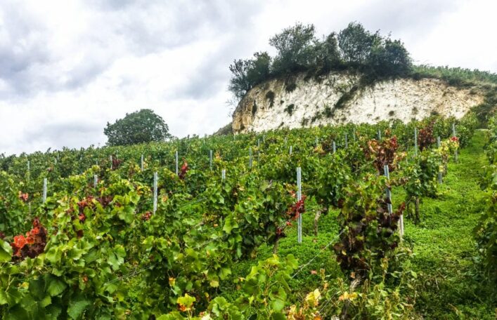 Biodynamic Burgundy