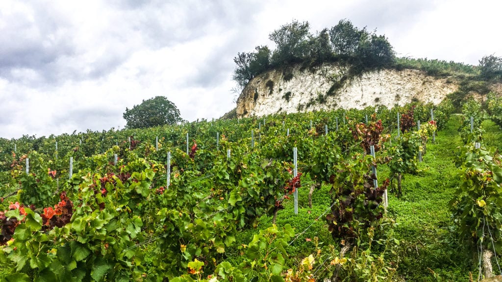 Biodynamic Burgundy