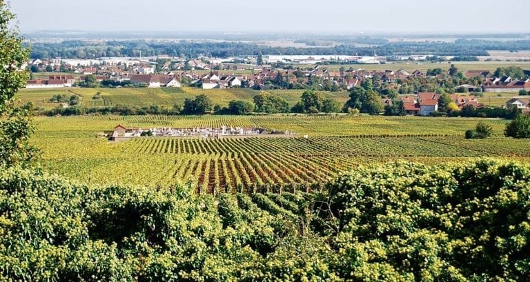 Chambolle-Musigny Combe d’Orveau