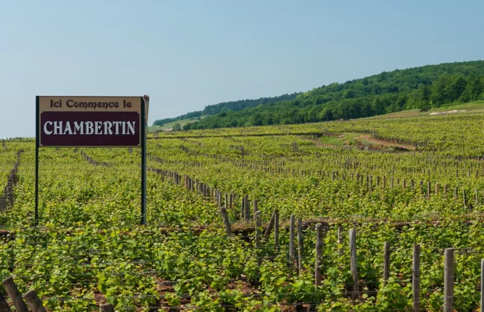 Chambertin