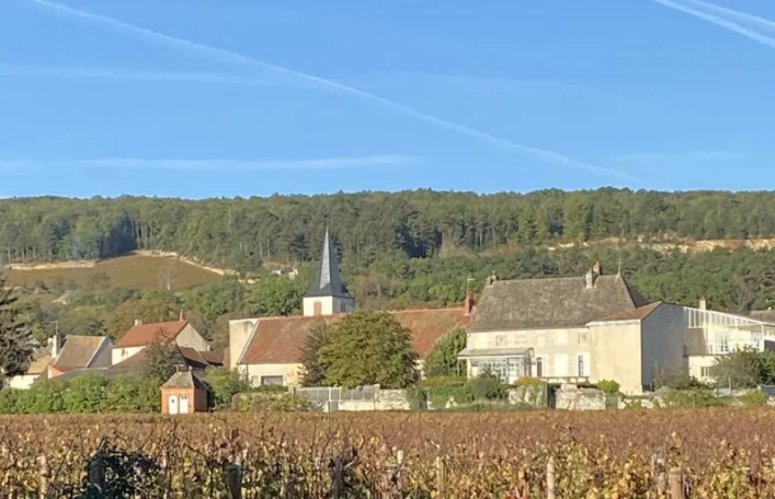 Chassagne in October