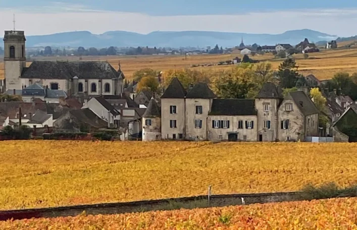 Chateau de la Commaraine