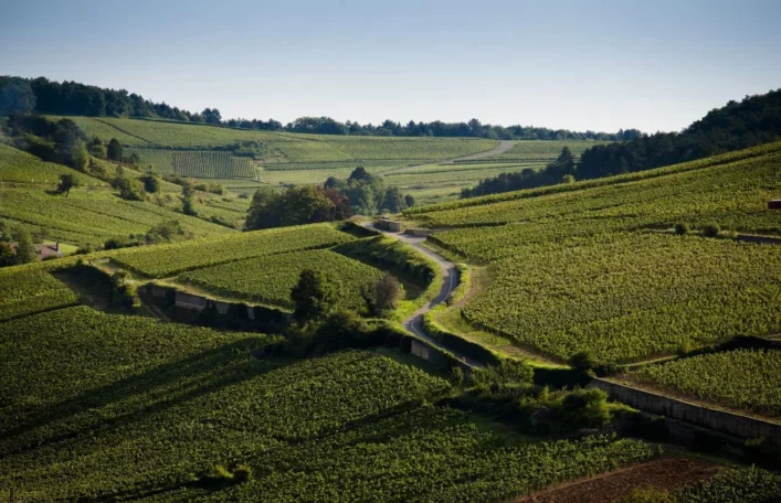 Cote de Beaune