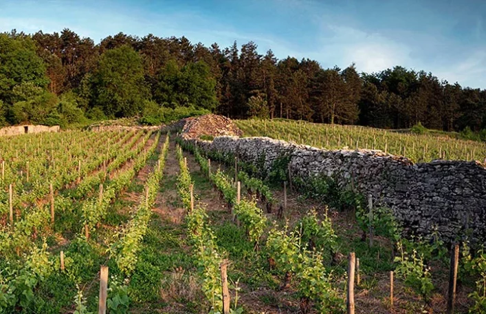 Domaine Armand Rousseau Chambertin Clos de Beze