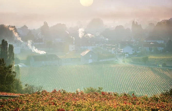 Domaine de la Vougeraie - Clos Blanc de Vougeot