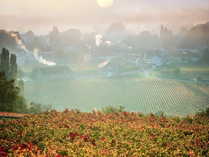 Domaine de la Vougeraie - Clos Blanc de Vougeot