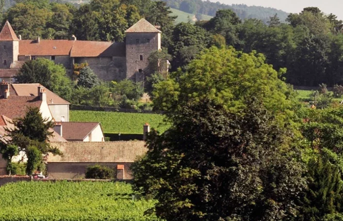 Gevrey-Chambertin, Clos St Jacques