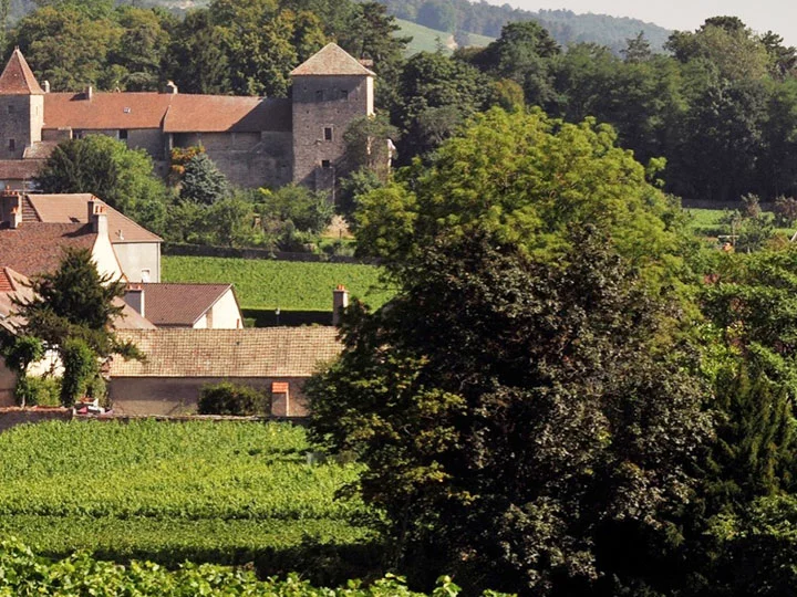 Gevrey-Chambertin, Clos St Jacques