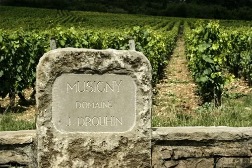 Joseph Drouhin: Le Musigny