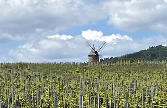 The famous windmill - Moulin-à-Vent