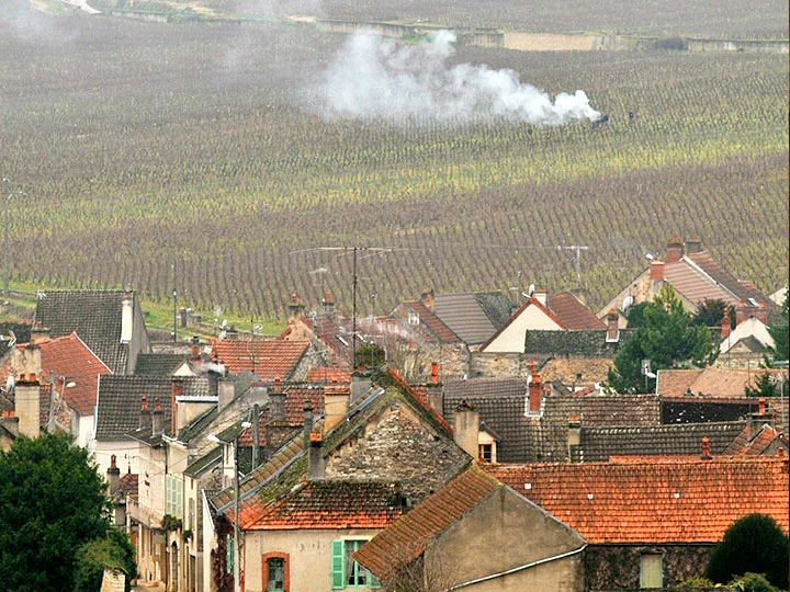 Chambolle Musigny