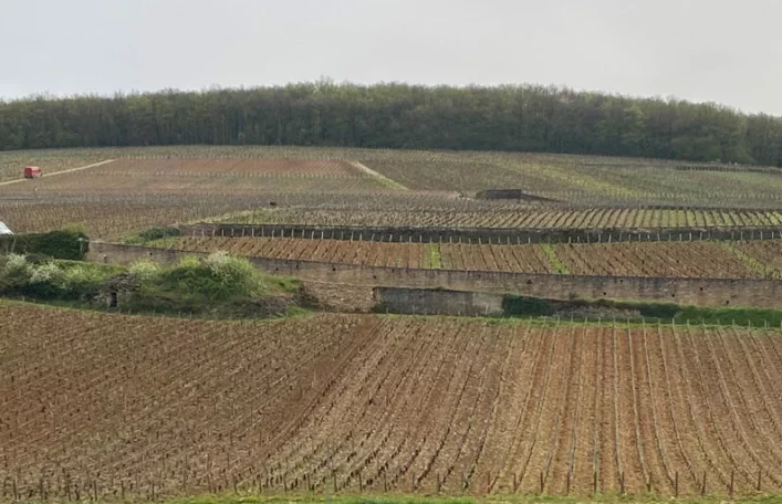 Grandes Maisons Grand Crus