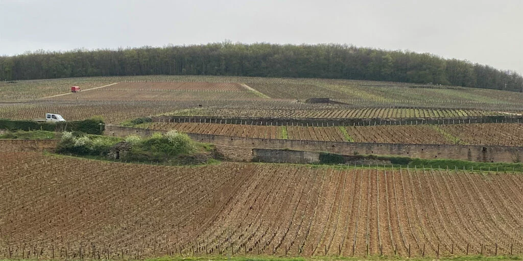 Grandes Maisons Grand Crus