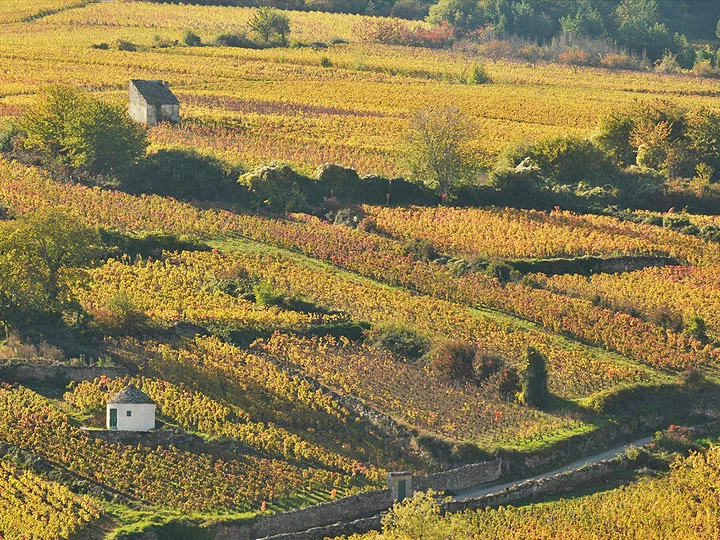 Pommard - Domaine Dugat-Py dinner