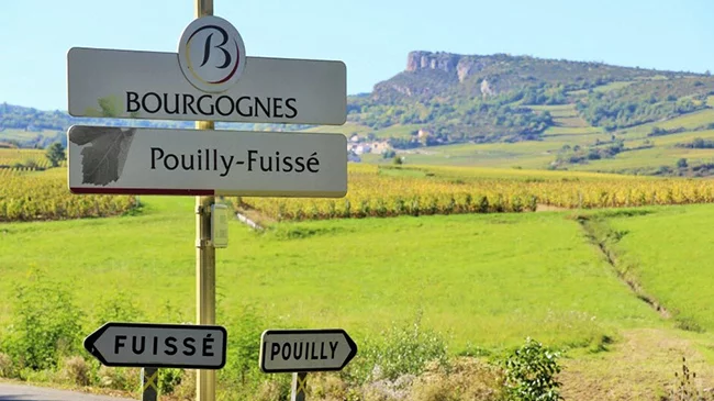 Pouilly Fuisse