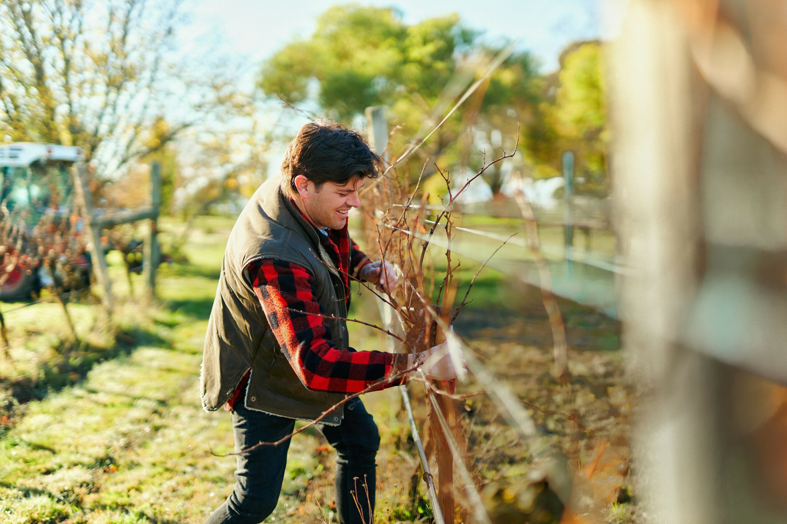 Australian Future Legends – Pinot Noir