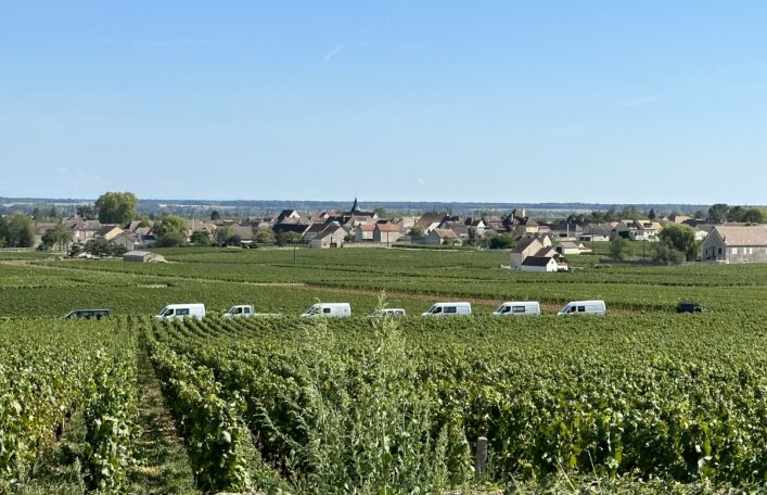 Puligny-at-harvest-time