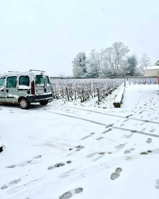 Winter in Burgundy. ❄️ Snowed in at Domaine Dujac. Hoping I can get to my next tastings!

#Harvest2024 #dayinthelifeofawinecritic #Burgundy #Bourgogne