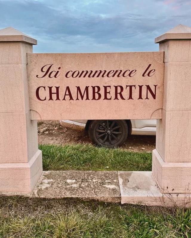 Tasting on a tour through Gevrey-Chambertin…

Starting with Caroline @domainedrouhinlaroze 

Then Pierre Boillot @domainelucienboillot 

I had my first visit to @domainelesastrelles with winemaker Julien Millit and owner Jean-Marie Chapier

Bastien in the amazing new cellar at Domaine @henrirebourseau 

François Oriset guiding us through the @domaine_fourrier 2023s

And its a wrap….

#gevreychambertin #Harvest2024 #BurgundyWine #Burgundy #PinotNoirBurgundy #PinotNoir #Bourgogne #PinotNoirLovers #BurgundyWineTasting

#winemakerstories #WineCriticism #WineTasting #WineTastingNotes #WineCritic #WineReviews