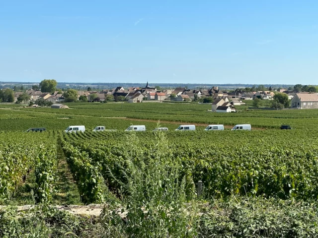 🚨NEW TASTING REPORT🚨

🍷2023 Côte de Beaune – Part 1🍷
 
Read the full tasting report via the link in my bio.

‘The 2023 harvest in the Côte d’Or is not like anything I have seen before. For many producers it was the largest crop on record, followed by the smallest in 2024 (for red wines, at least). It was also the hottest year overall on record, yet the wines do not behave like a hot vintage. The full report on the growing season can be found HERE.

The salient points are as follows:

- A very mild winter
- Frost risks avoided
- Flowering in excellent conditions at the end of May.
- Regular but not excessive rain
- Hailstorm on 11th July, mainly affecting St-Aubin and parts of Meursault
- Variable weather in July and August
- A burst of extreme heat to coincide with the early September harvest’

Read the full tasting report via the link in my bio.

#burgundy2023 #2023vintageburgundyreport 
#JasperMorris #insideburgundy 
#JMIB #wine #burgundywine #burgundy #bourgogne #winetasting