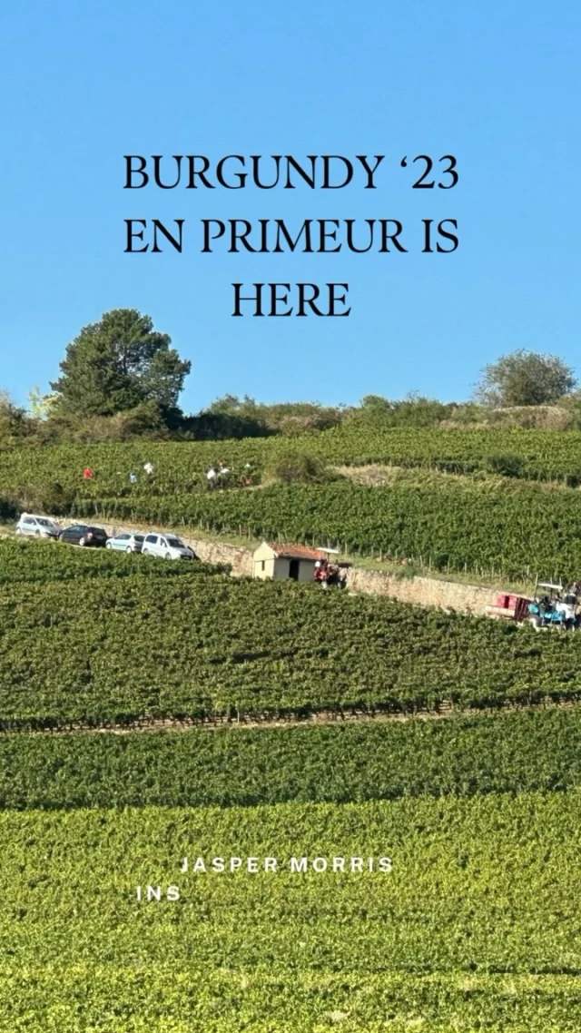 Burgundy 2023 en primeur season has started. Read our free vintage report on insideburgundy.com, and log in as a subscriber to access thousands of tasting notes direct from Jasper in Burgundy.