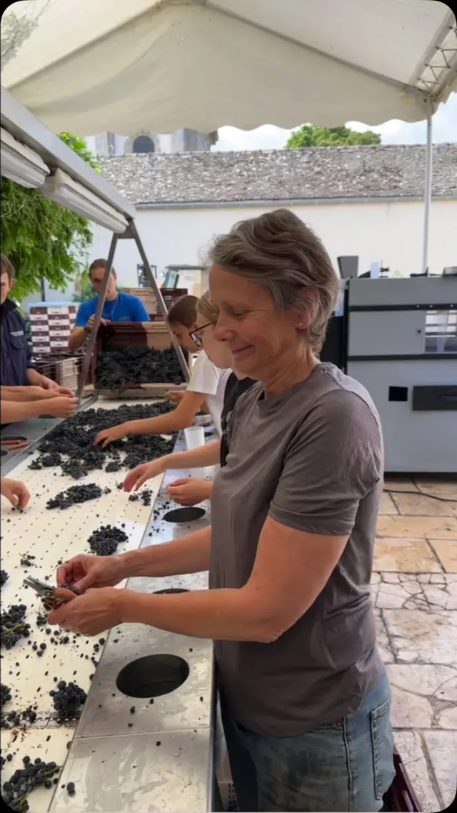 2023, Aloxe-Corton, Nicolas Faure - Jasper Morris Inside Burgundy