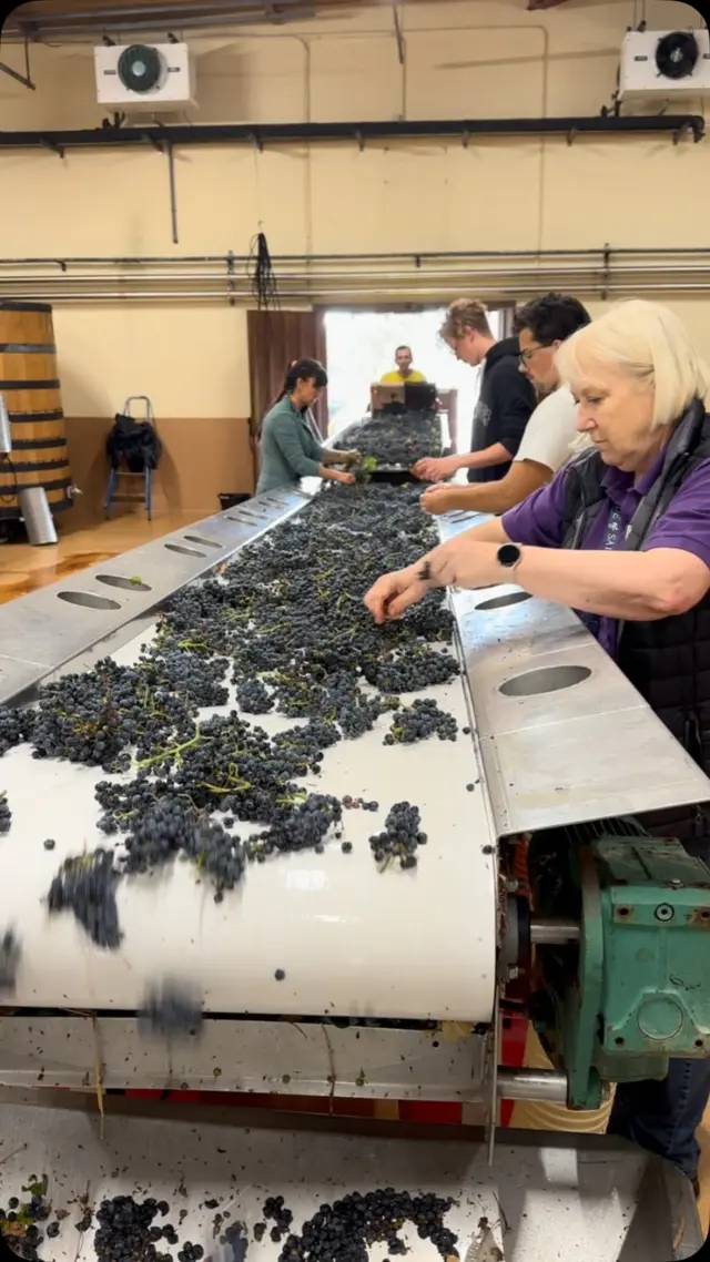 2023, Aloxe-Corton, Nicolas Faure - Jasper Morris Inside Burgundy